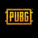 PUBG cleanup